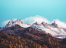 杏彩体育APP-尼克斯险胜篮网 唐斯26+15 布伦森17+8 米诺特22分